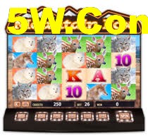 Free Spins Bonus - Lucky Tiger